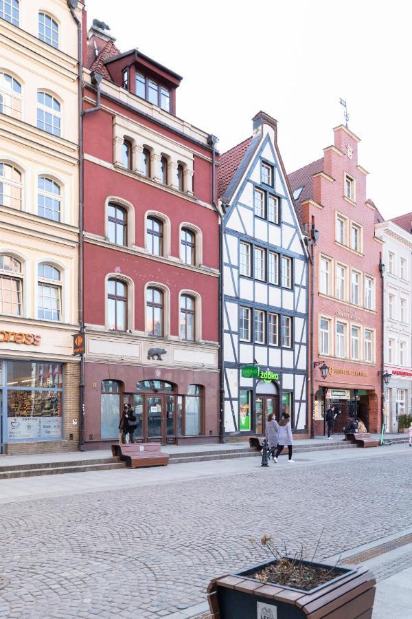Black Bear Gdansk Luaran gambar
